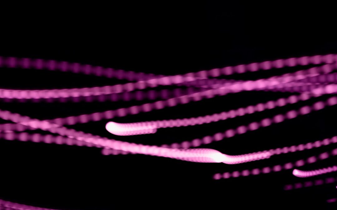 Eden Isle Fibre Internet – Reliable Speeds, Local Support